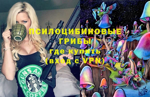 крисы Покачи